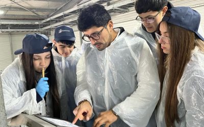 Fundación Proyecto Micelio: Talentos al servicio de la comunidad